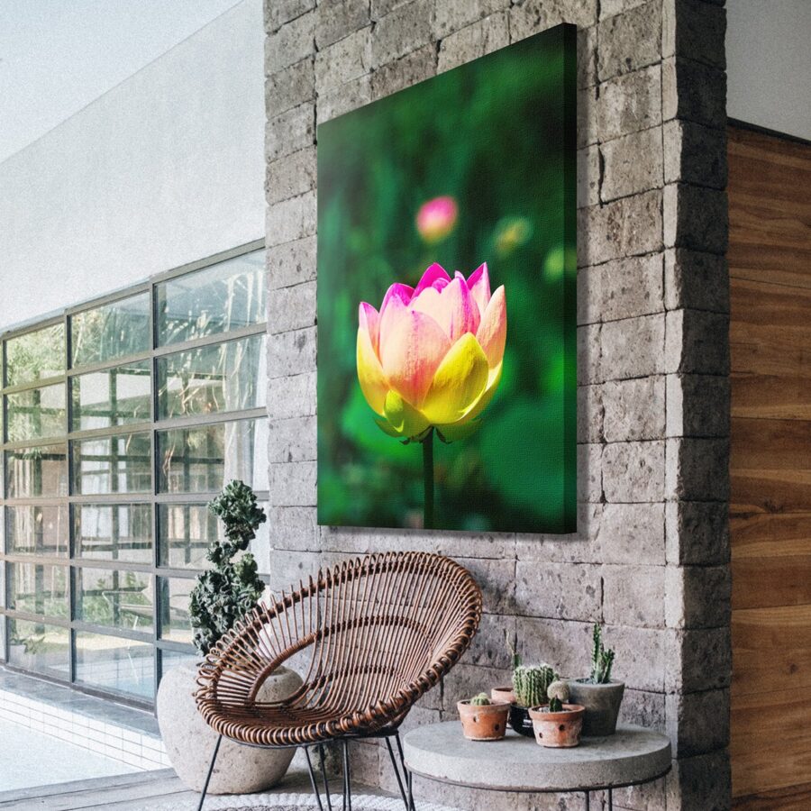 CanvasSample03