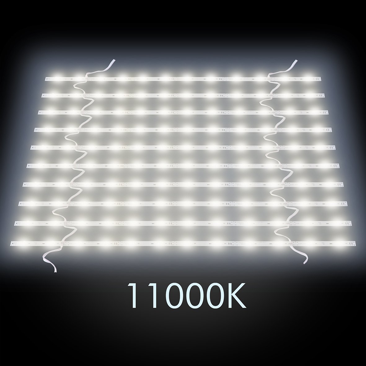 Rigid LED Strip (11000K)