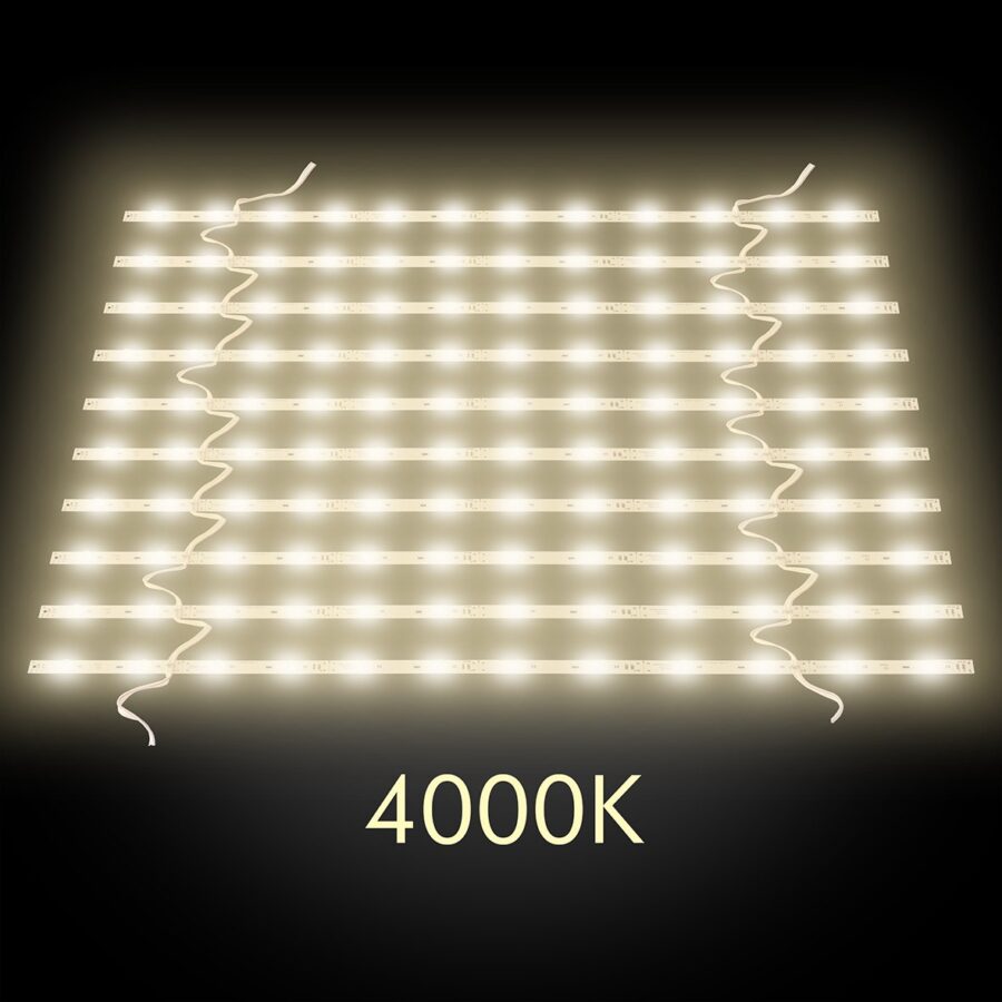 LEDLightcolour 4000K