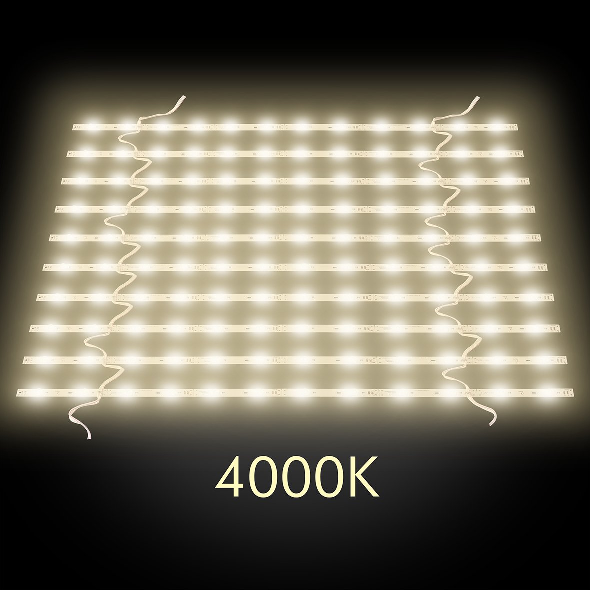 Rigid LED Strip (4000K)