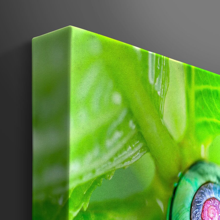 StickerCanvasFoamboardFrame